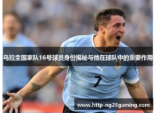 乌拉圭国家队16号球员身份揭秘与他在球队中的重要作用