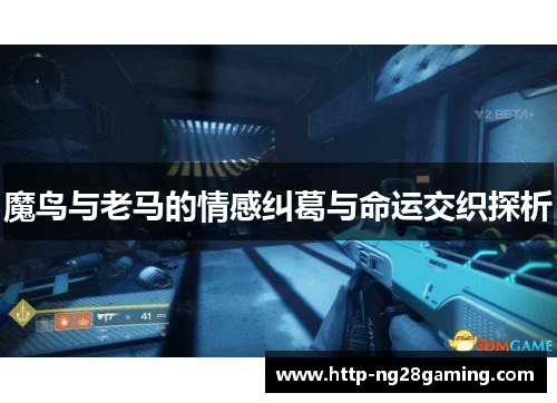 魔鸟与老马的情感纠葛与命运交织探析