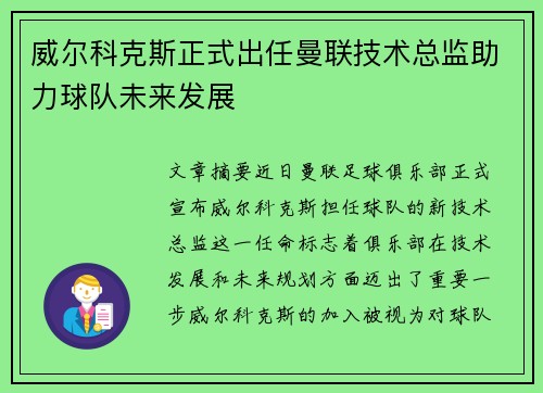 威尔科克斯正式出任曼联技术总监助力球队未来发展